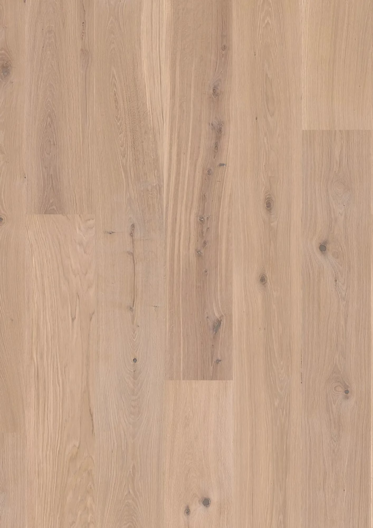 JOKA Calgary 527 LD 209 | E3414 Eiche creme NATURE ÖL | 2.200 × 209 × 13,2 mm – Herstelleransicht (Herstellerabbildung)