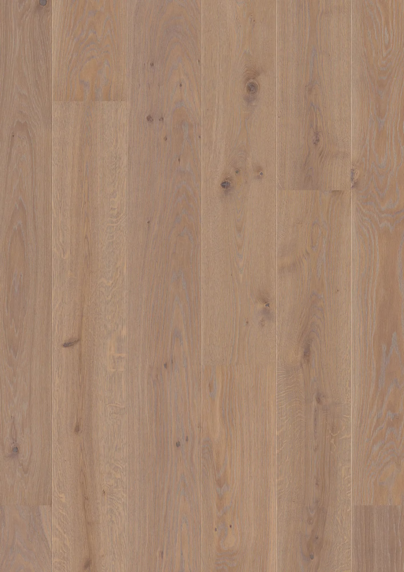 JOKA Calgary 527 LD 209 | E3406 Eiche stone g. NATURE VP – Oberflächenmuster (Herstellerabbildung)