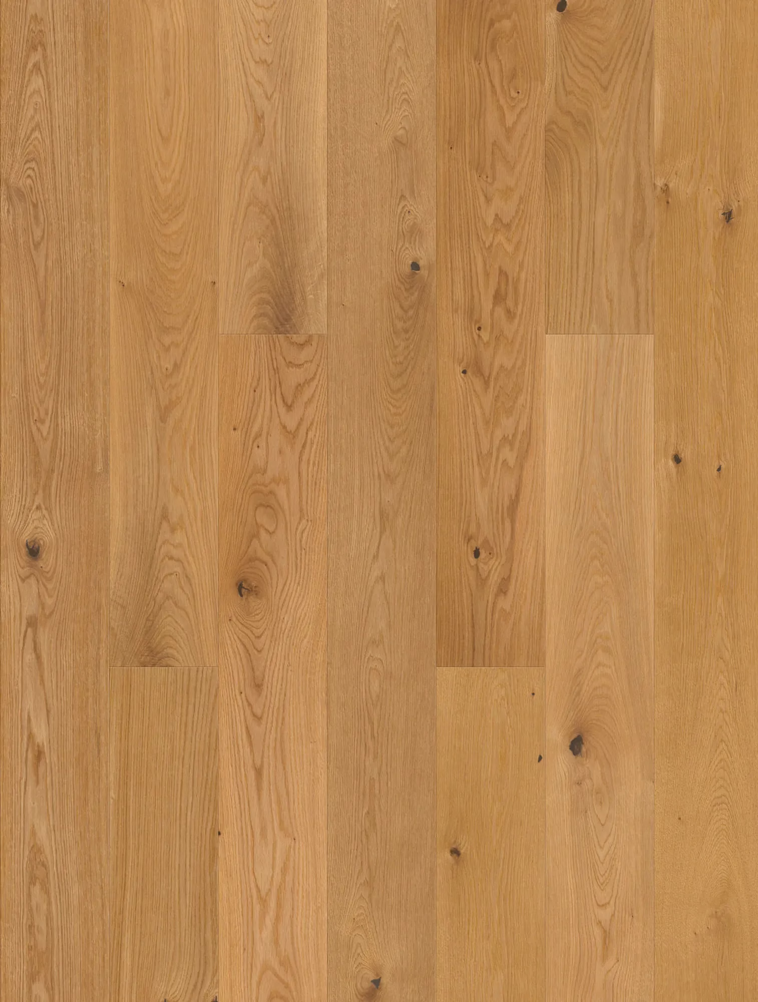 JOKA Calgary 435 LD | E2203 Eiche gebürstet NATURE VP | 2.200 × 185 × 13,5 mm – Oberflächenmuster (Herstellerabbildung)