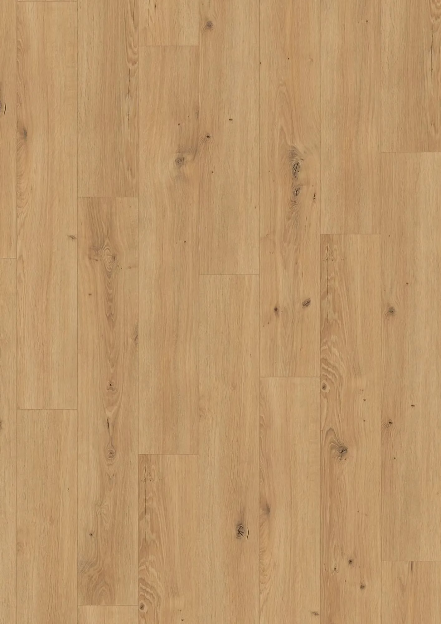 JOKA Xplora PROVE 833 8810 Oak Royal Warm – Flächenbild