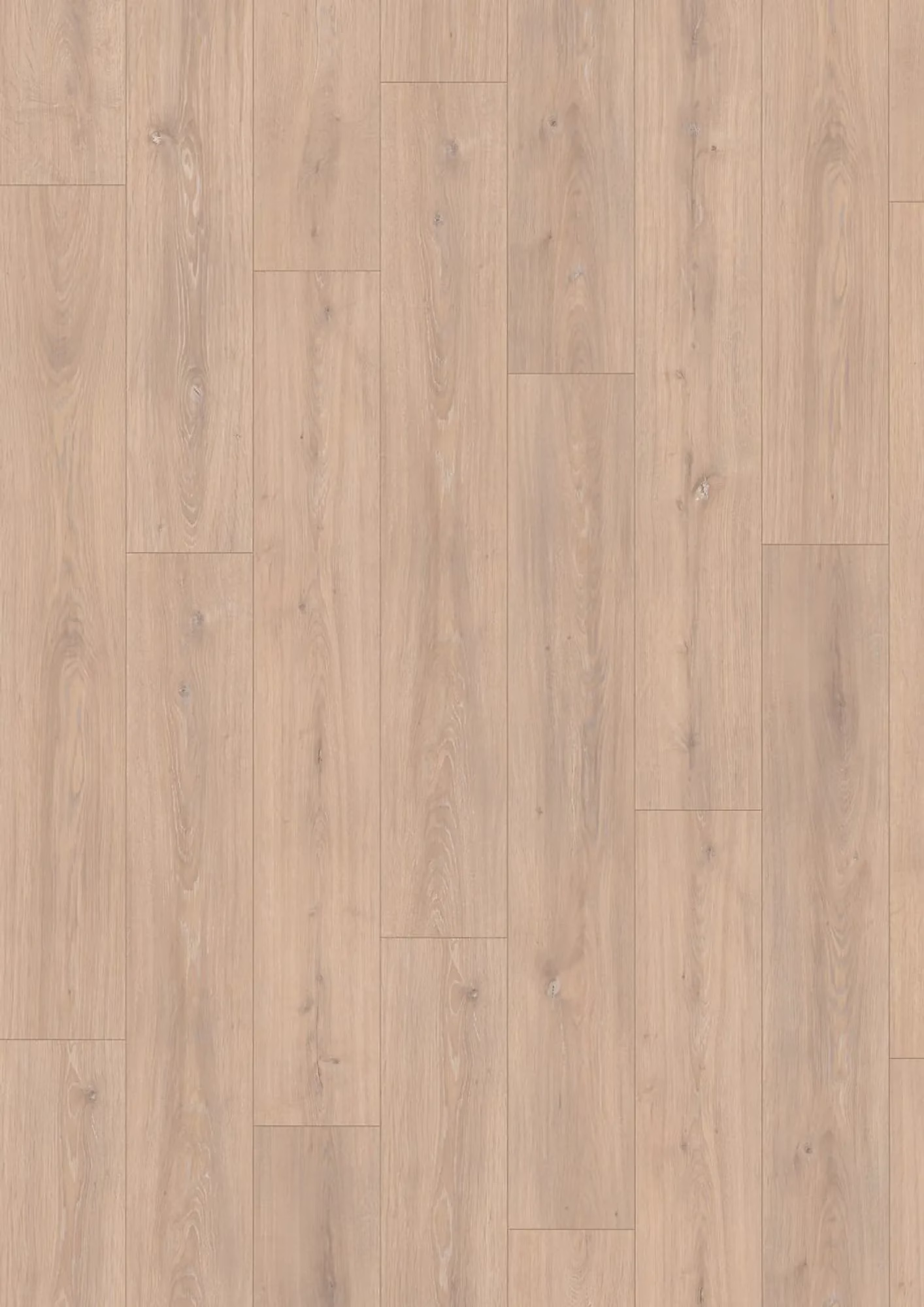 JOKA Xplora PROVE 833 8815 Oak Royal Lightgrey – Flächenbild
