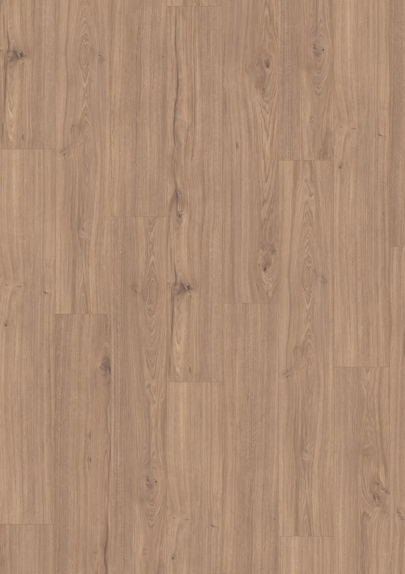 JOKA Xplora PROVE 833 8817 Oak Royal Greige – Flächenbild