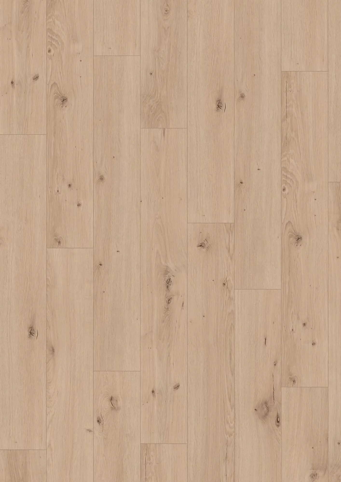 JOKA Xplora PURE 832 8612 Oak Savage Light – Flächenbild